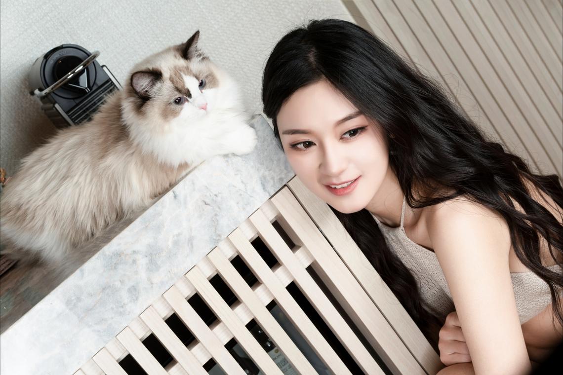 广东省能源集团党委原副书记黎凯生接受审查调查